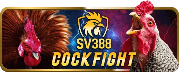 Kèo Meron tại 138bet Link